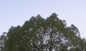 潜木设计 |  璞元壹境·5秒切换度假模式，这里没有城市焦虑
