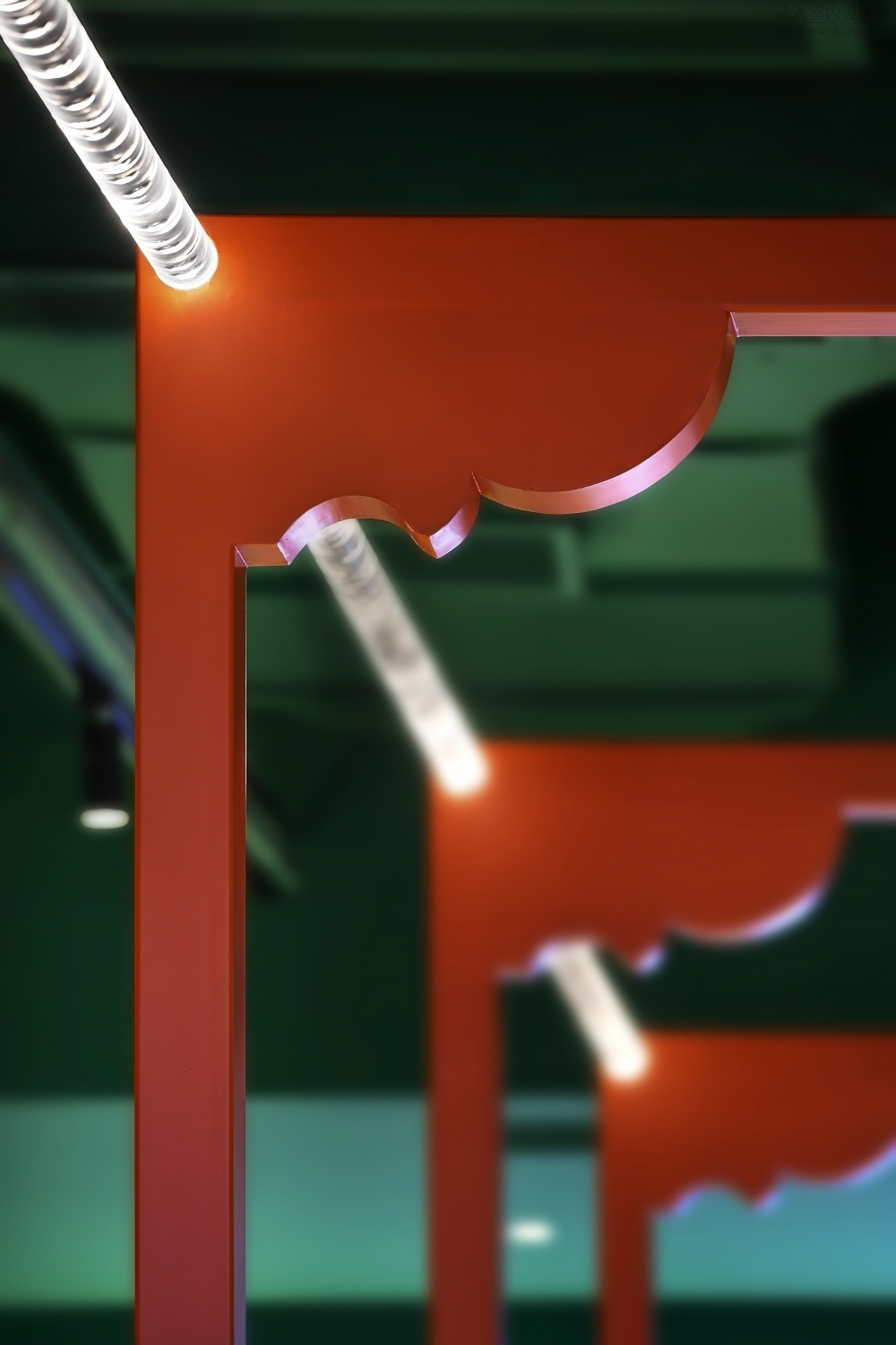 d7.jpg