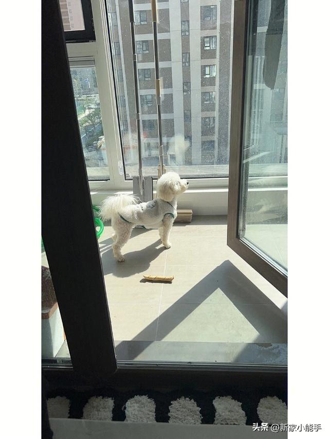 她家装修一年的新房终于完工，不豪华不大气，很让人喜欢-6.jpg