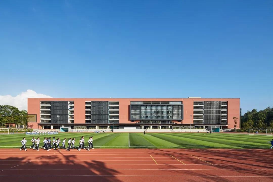 d7.jpg