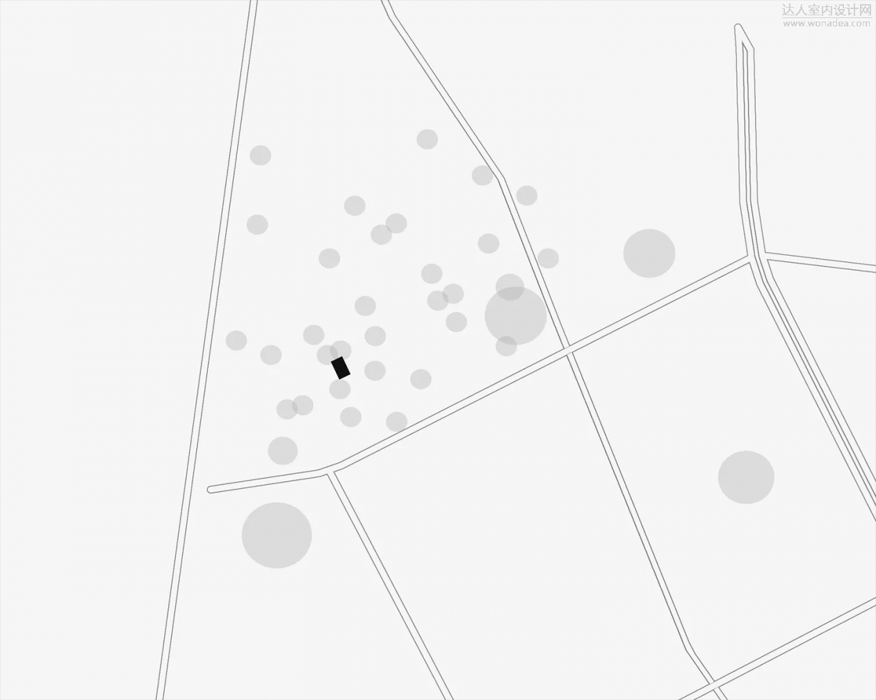 d6.jpg