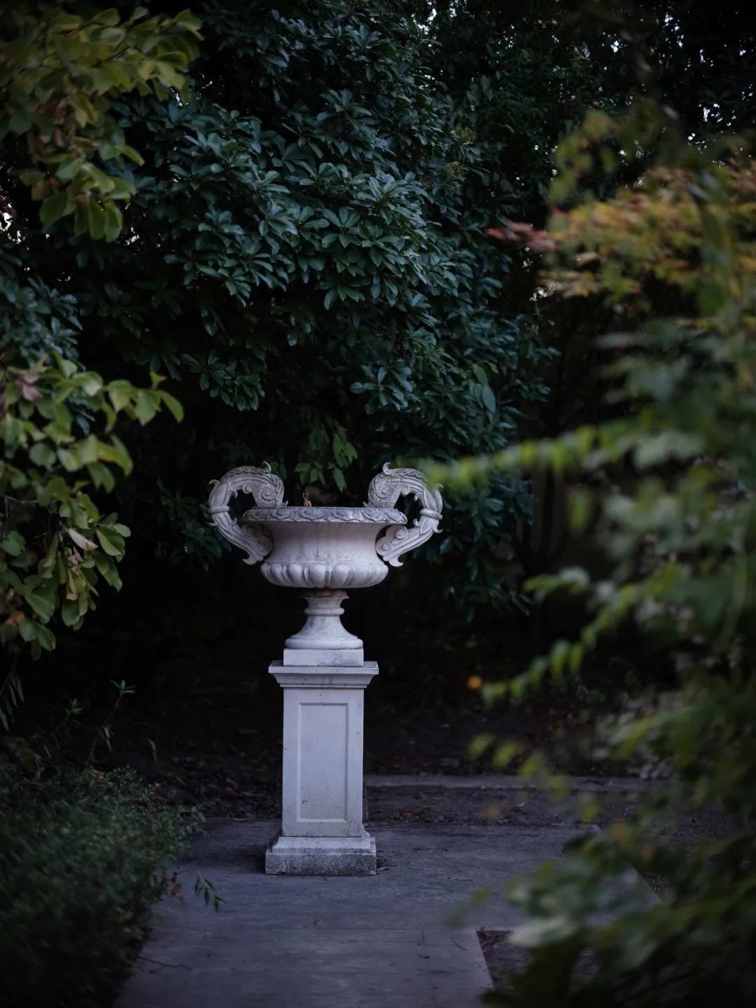 d70.jpg