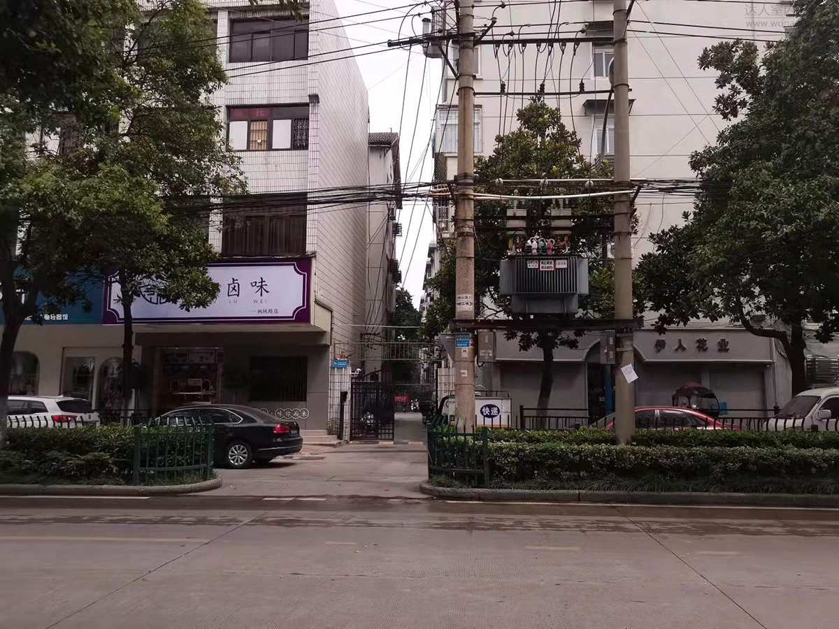 d4.jpg