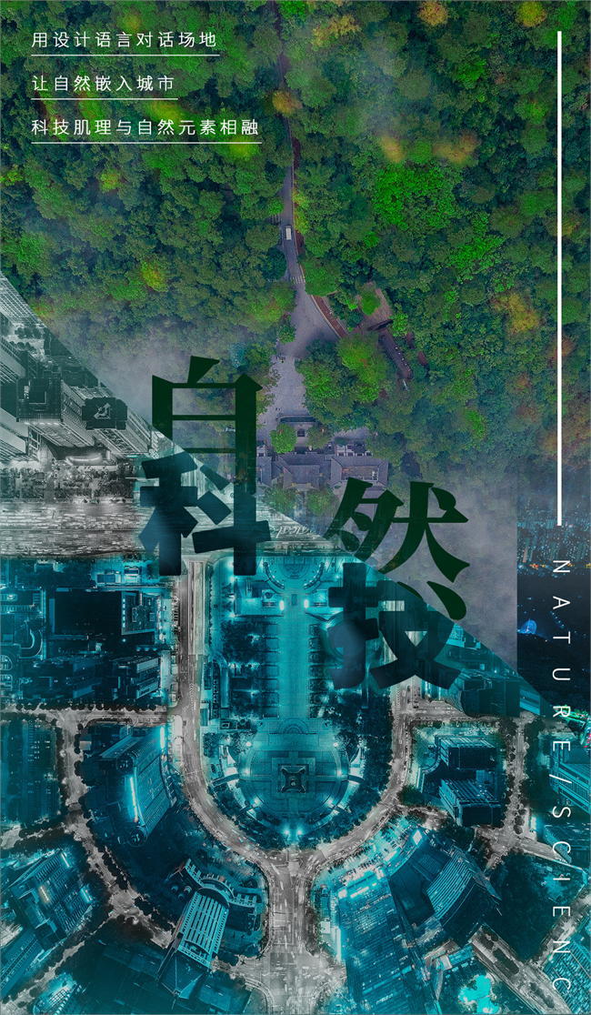 d11.png