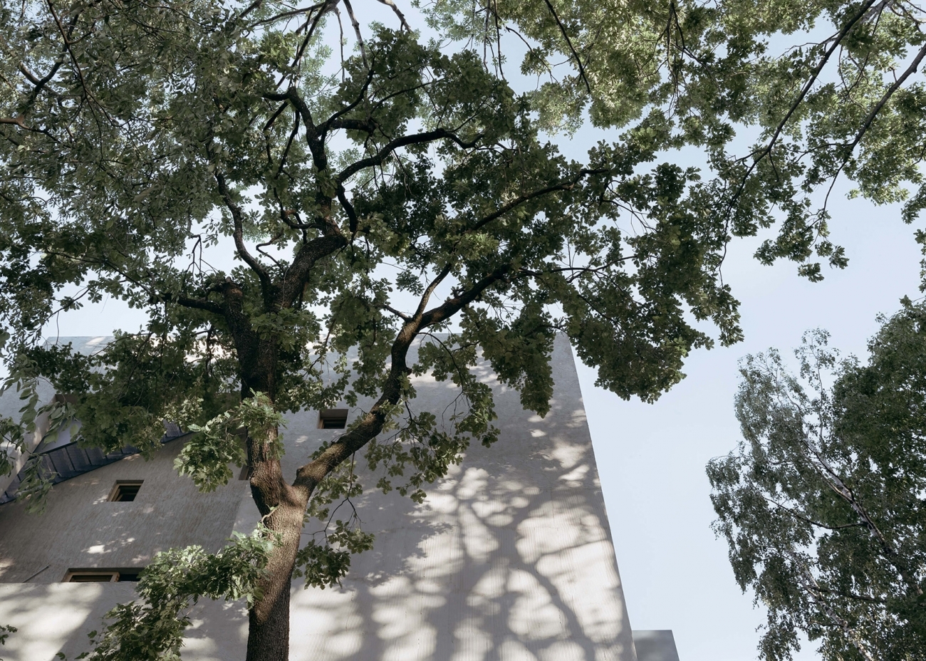 d13.jpg