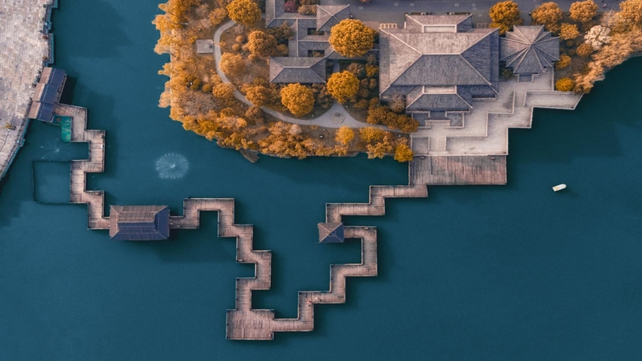 d5.jpg