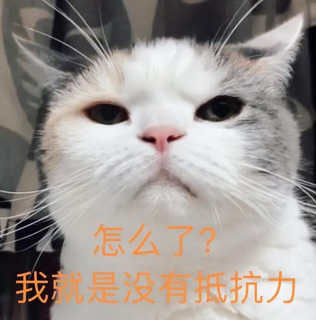 火爆全网的奶油风，照这样做就拿捏住了-6.jpg
