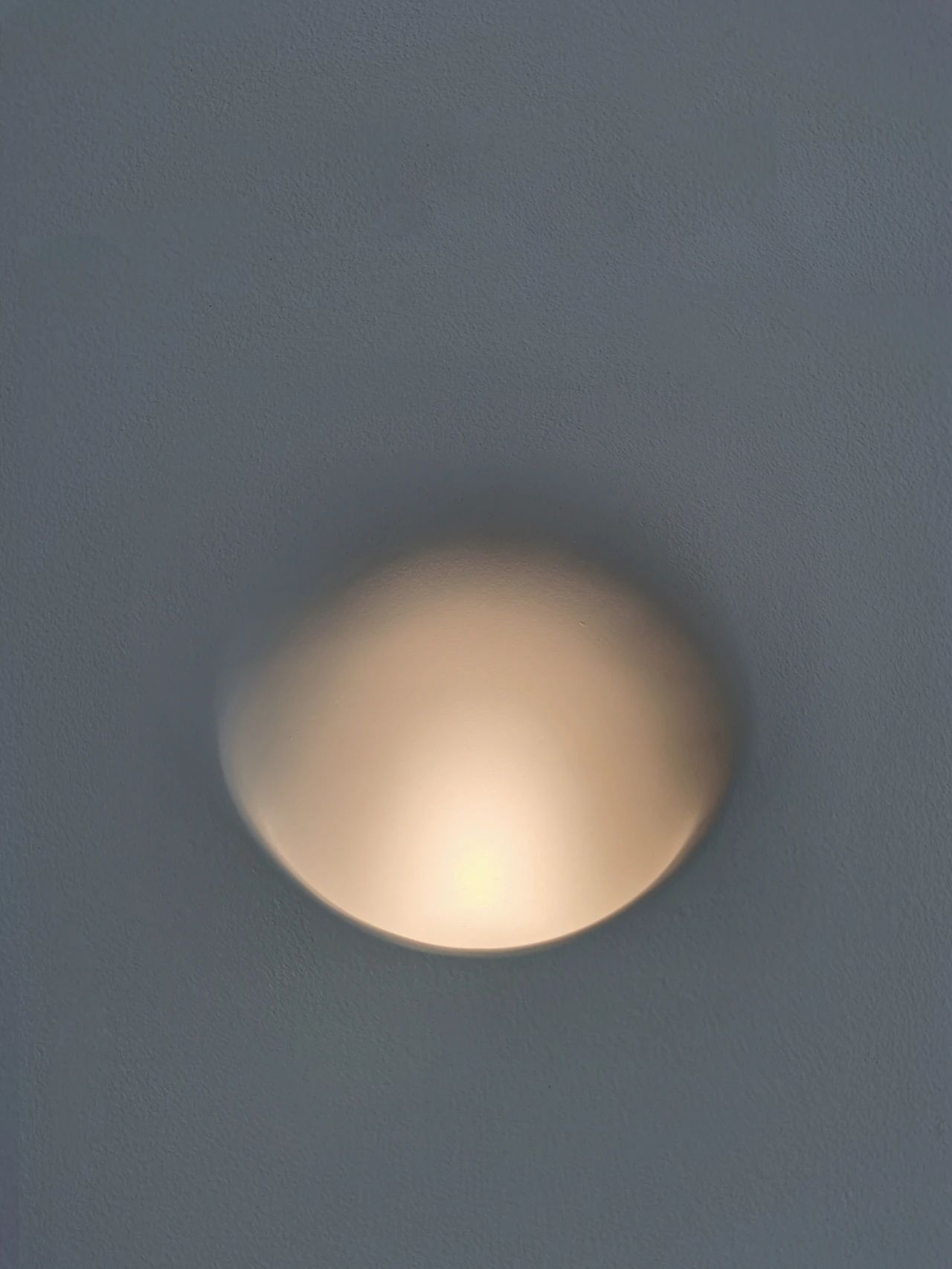 d36.jpg