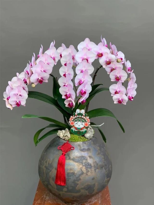 新中式年宵花要火了吗？大批美图来袭，看看哪个是爆款？-4.jpg