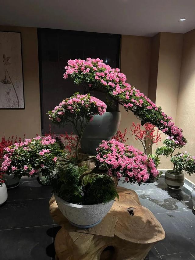 新中式年宵花要火了吗？大批美图来袭，看看哪个是爆款？-2.jpg