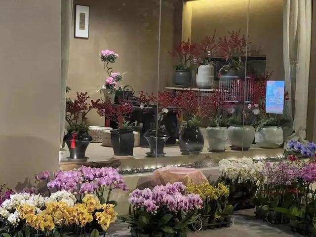 新中式年宵花要火了吗？大批美图来袭，看看哪个是爆款？-8.jpg