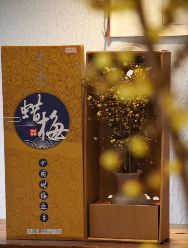 新中式年宵花要火了吗？大批美图来袭，看看哪个是爆款？-21.jpg