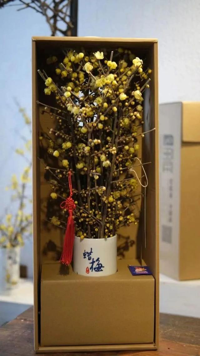 新中式年宵花要火了吗？大批美图来袭，看看哪个是爆款？-23.jpg
