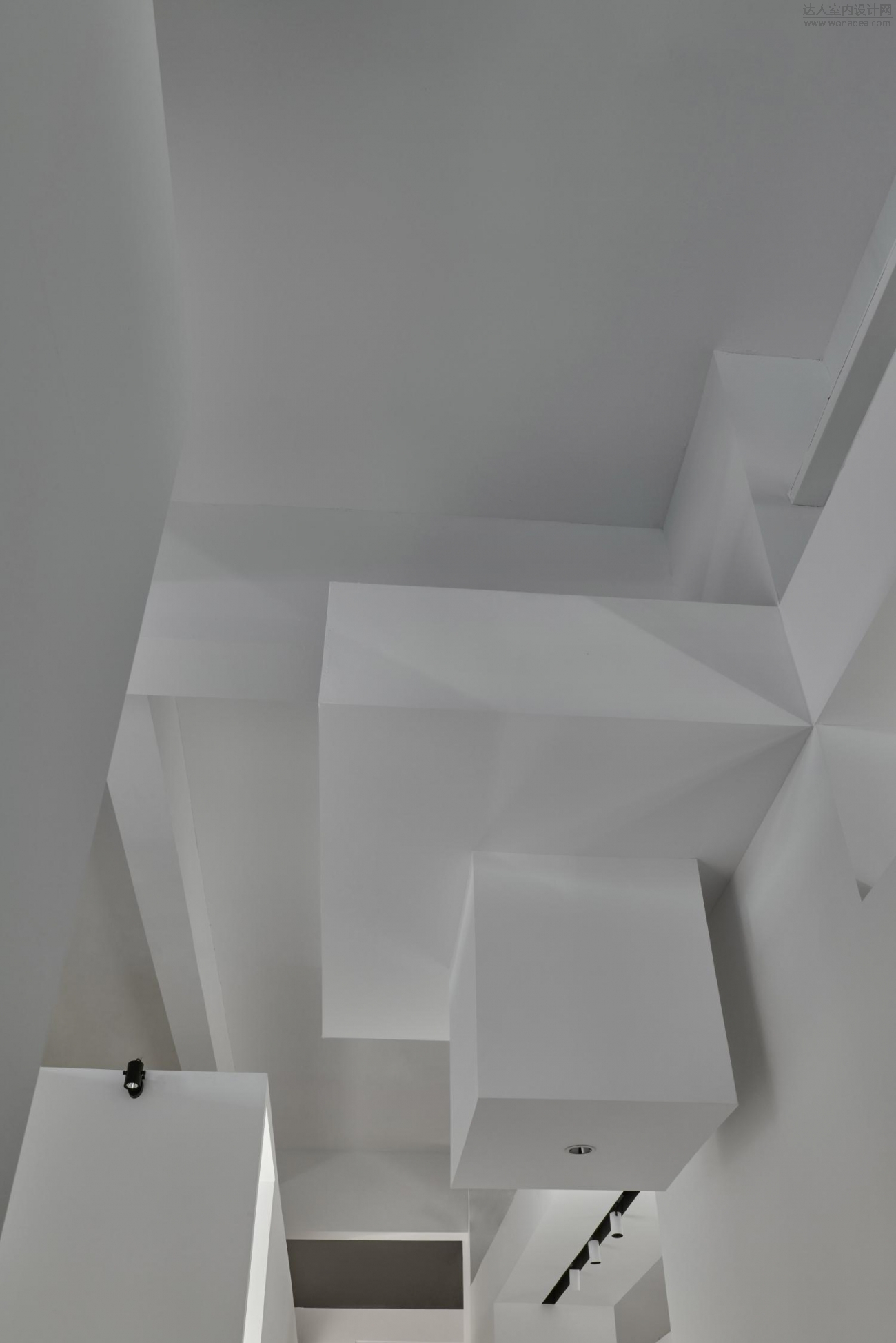 d11.jpg