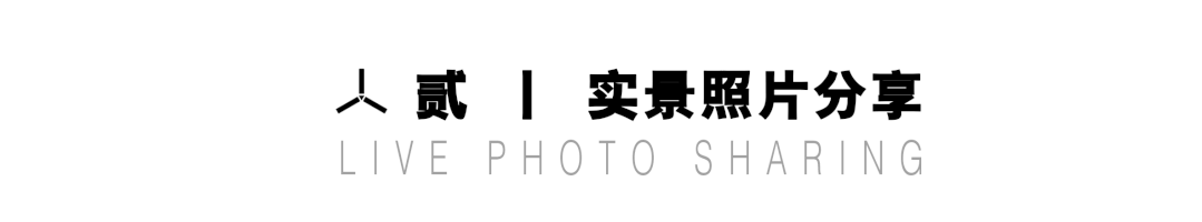 d4.gif