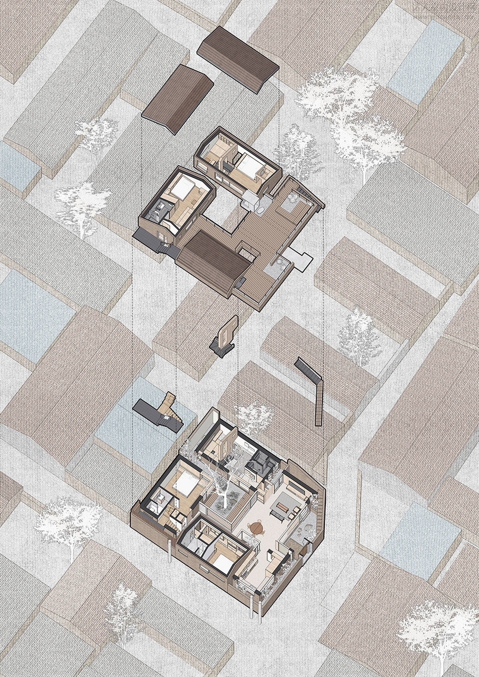d4.jpg