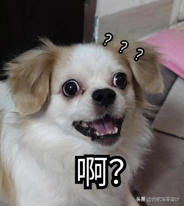 堪称最硬核装修：全屋不锈钢打柜子做家具，真正实现了室内0甲醛-1.jpg