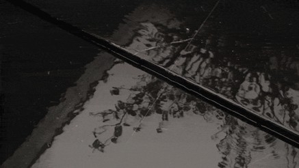 d5.jpg