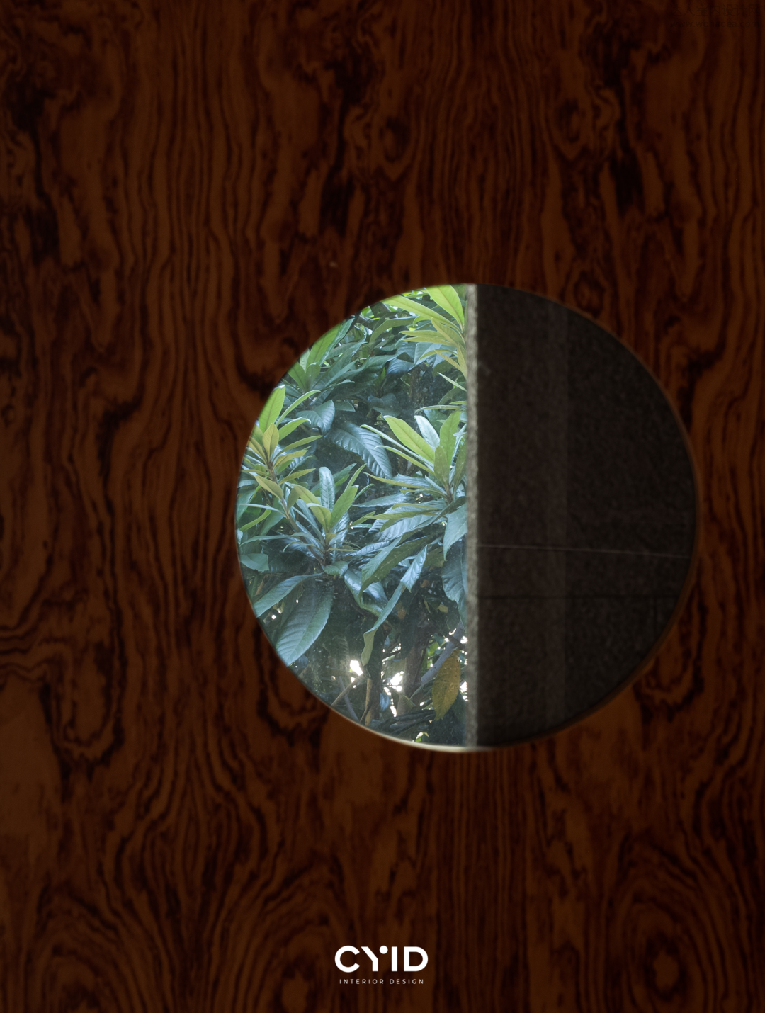 d20.png