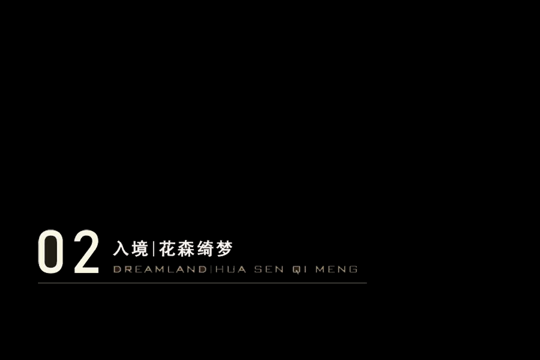 d4.png