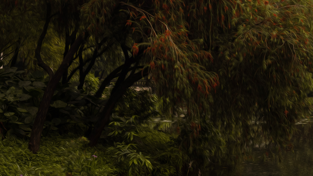d5.png