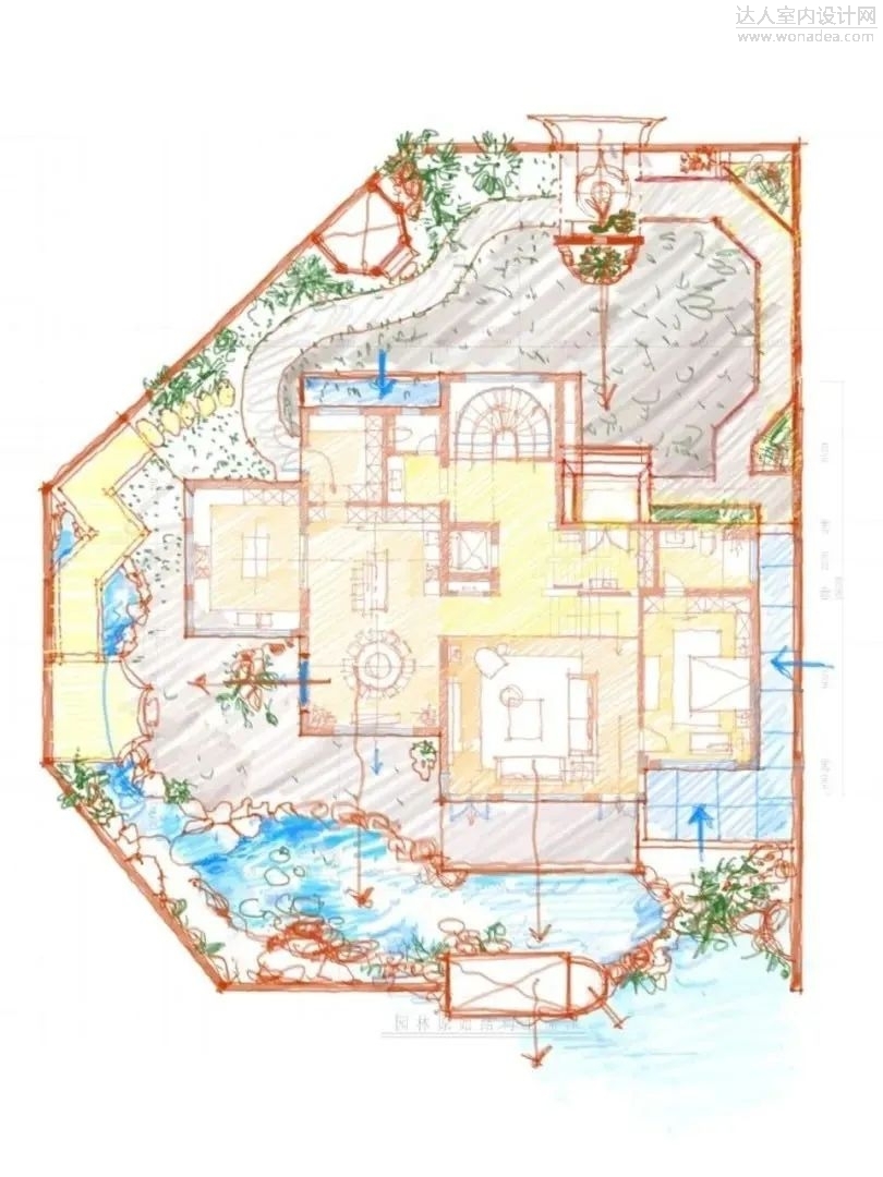d55.jpg