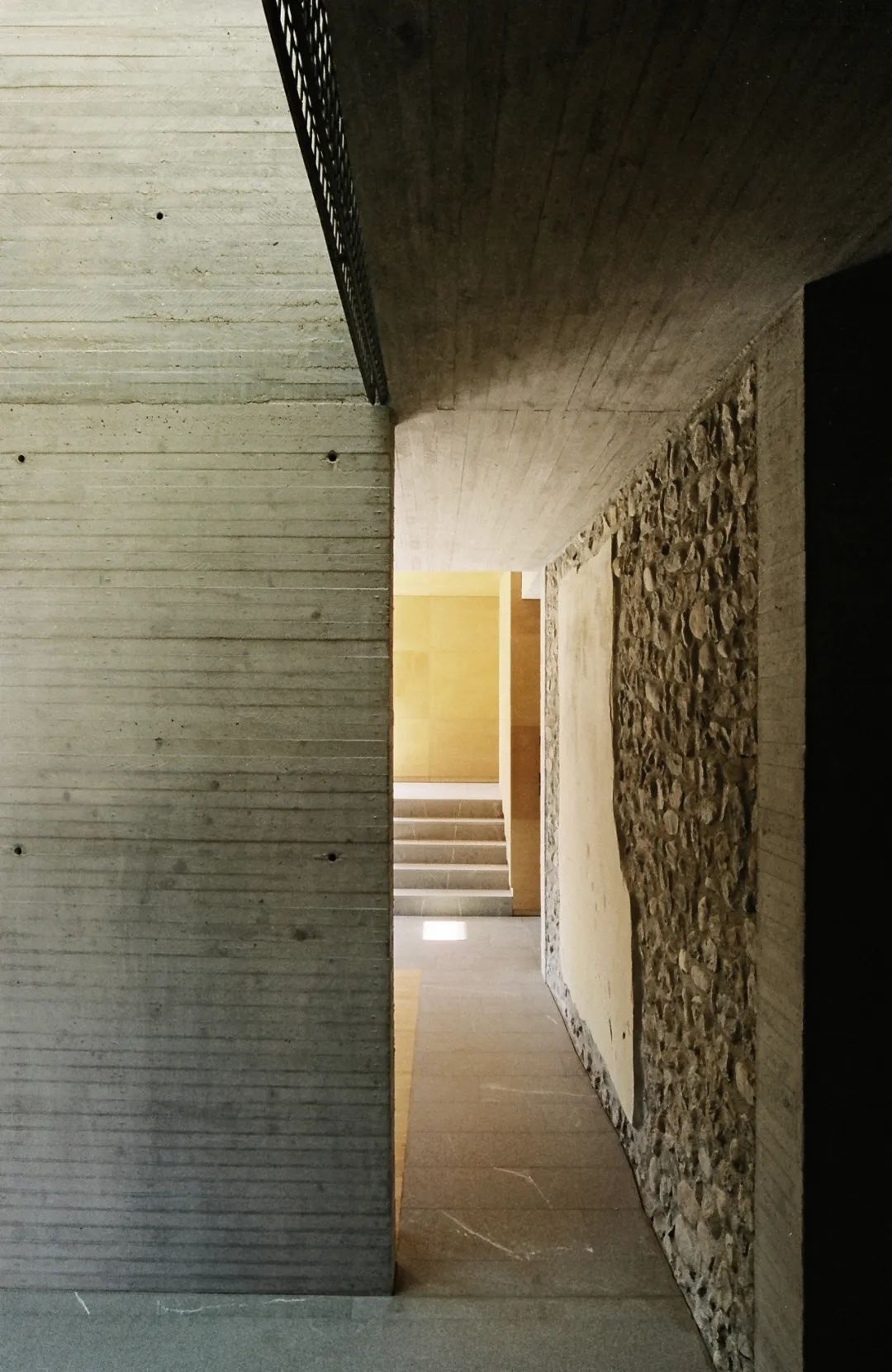 d45.jpg
