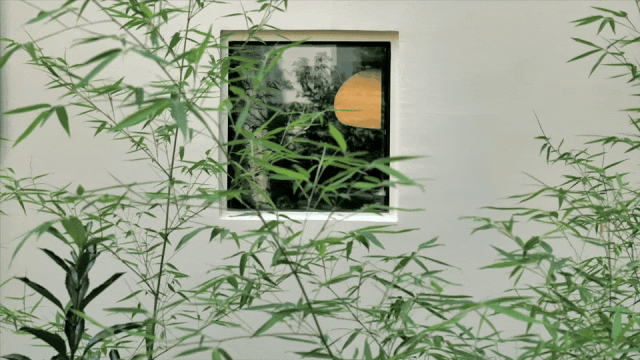 d19.gif