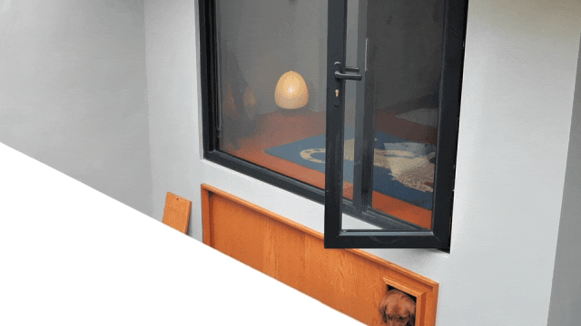 d26.gif