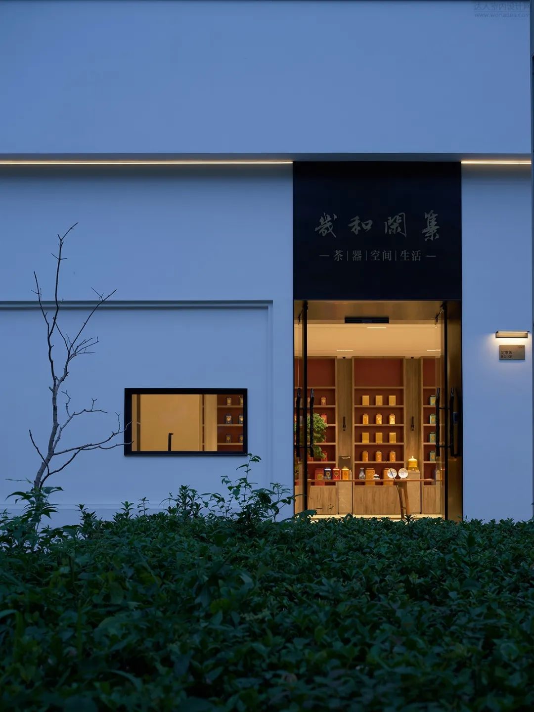 w1.jpg