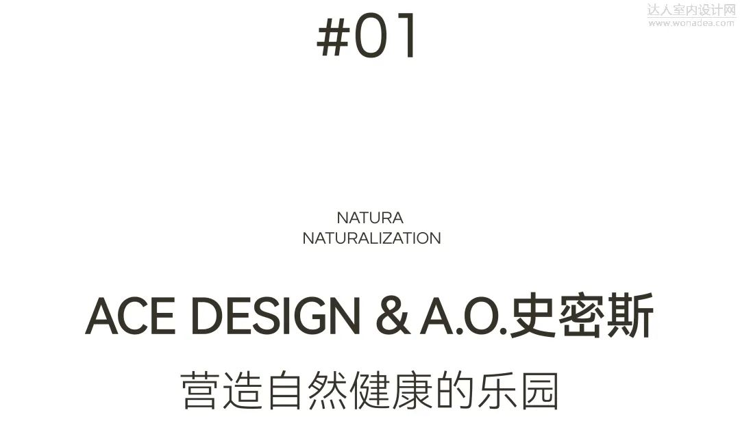 w5.jpg