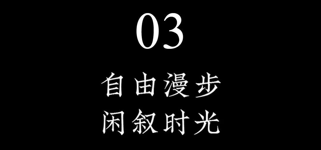 d30.png