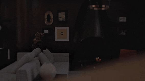 d65.gif