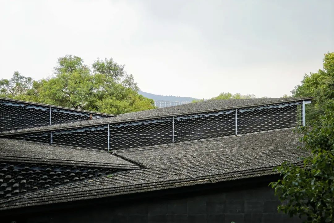 w213.jpg