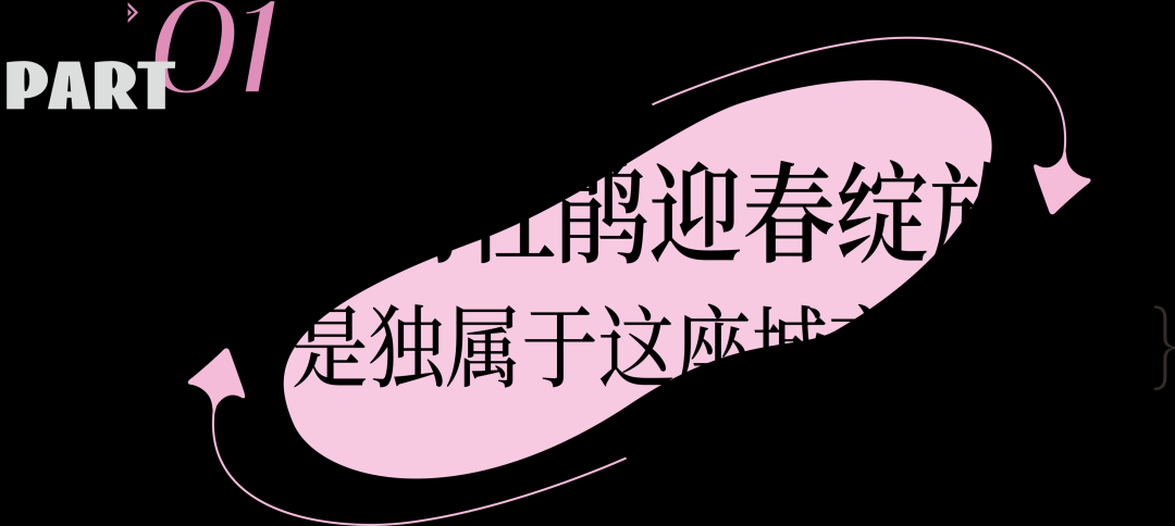 d4.png