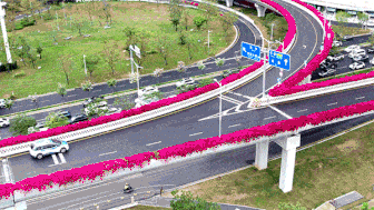 d7.gif
