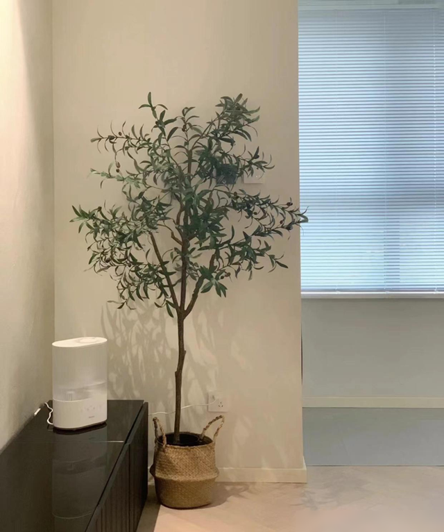 她不顾反对坚持全屋装极简风，将家装修得一尘不染，效果真心漂亮-6.jpg