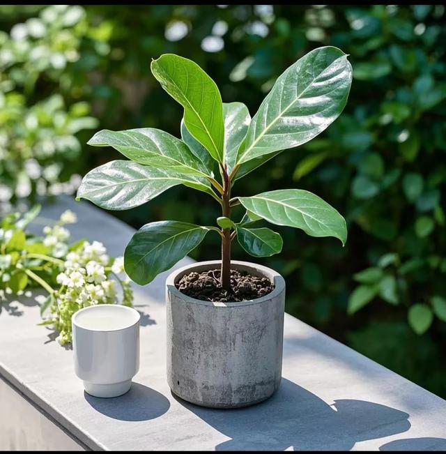 装修轻奢高级感，不靠砸钱靠细节！5招教你拿捏低调贵气-6.jpg