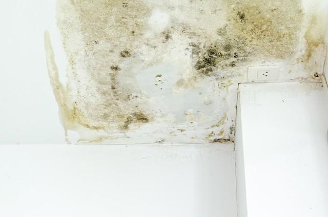 装修前必看！20年老师傅总结7大避坑指南，能省3万（附材料清单）-2.jpg
