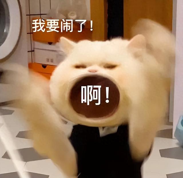 聚焦3·15丨原木变贴皮？定制家装家具要注意 →-1.jpg