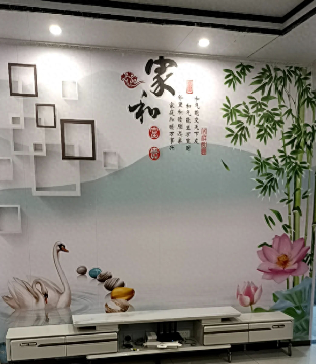 越来越多人不做电视墙，学学上海人家打满柜子，全屋实用又大气-1.jpg