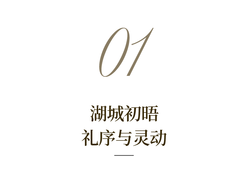 d5.png